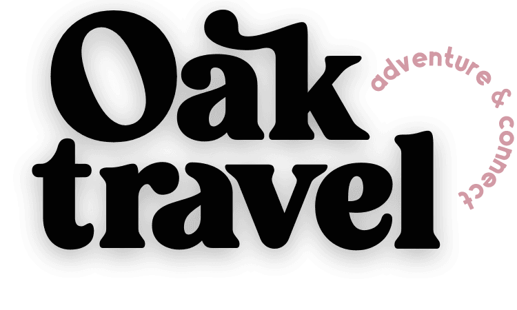 Nomadista Travel Group logo